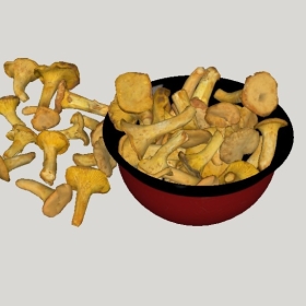 ʳ_SketchupͼʦģVray202204251468