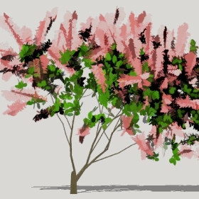 ͼʦģֲģȫ20221239