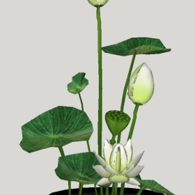 ����Ʒ_��ͼ��ʦģ��22020426295