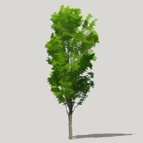 ͼʦģֲģȫ20221223