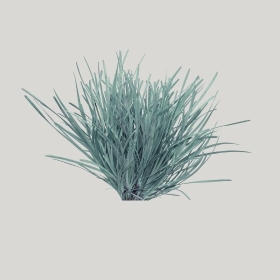 ͼʦģֲģȫ20222279