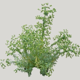 ͼʦģֲģȫ20221148