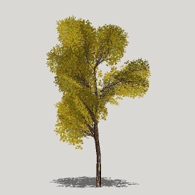 ͼʦģֲģȫ20221302