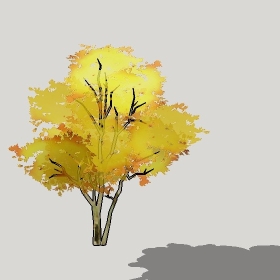 ͼʦģֲģȫ20222448