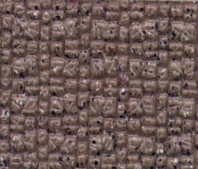 װjpgͼǷֲˮӡز326