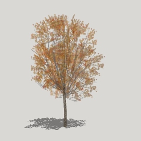 ͼʦģֲģȫ20221288