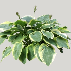 ͼʦģֲģȫ20221627