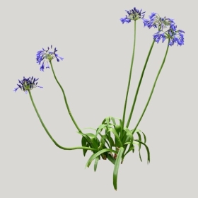 ͼʦģֲģȫ20221836