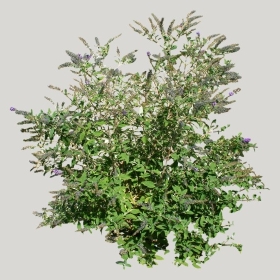 ͼʦģֲģȫ20221586