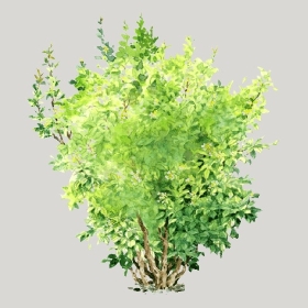 ͼʦģֲģȫ20222048