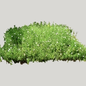 ͼʦģֲģȫ20221725