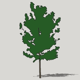 ͼʦģֲTTrees2Dֱģ034