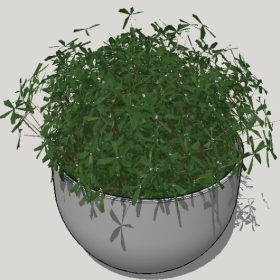 ͼʦSketchupƷģ20221125ϴ012