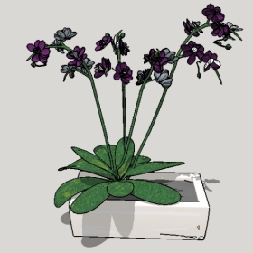 ͼʦSketchupƷģ20221125ϴ009