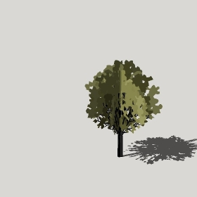 ͼʦģֲģȫ20222626