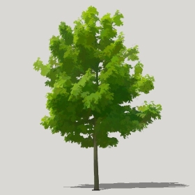 ͼʦģֲģȫ20221221