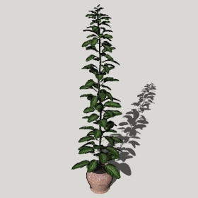 ͼʦSketchupƷģ20221125ϴ092