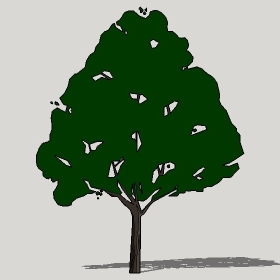 ͼʦģֲTTrees2Dֱģ036