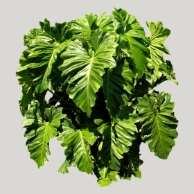 ͼʦģֲģȫ20221123