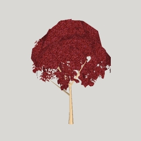 ͼʦģֲģȫ20222265