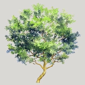 ͼʦģֲģȫ20222520