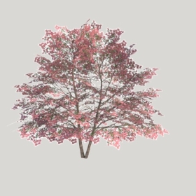 ͼʦģֲTTrees2Dֱģ182