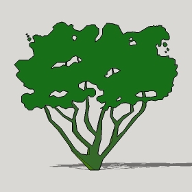 ͼʦģֲTTrees2Dֱģ051