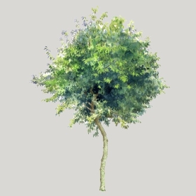 ͼʦģֲģȫ20222634