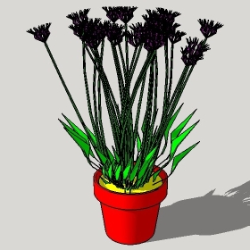 ͼʦģֲģȫ20221333