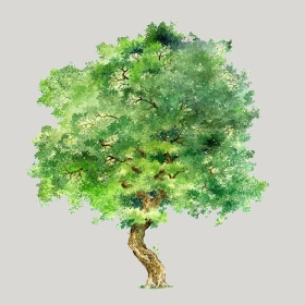 ͼʦģֲģȫ20222664