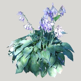 ͼʦģֲģȫ20221660