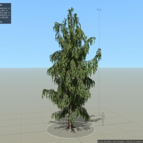 Cedar Alaskan ˹ѩ02+03 