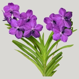 ͼʦģֲģȫ20222028