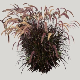 ͼʦģֲģȫ20222248