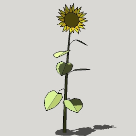 ͼʦģֲģȫ20222400