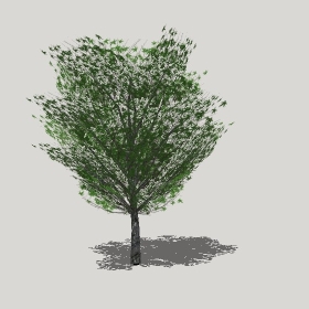 ͼʦģֲģȫ20221293