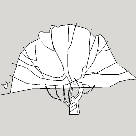 ͼʦģֲģȫ20222326