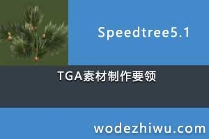 speedtree 5.1 TGA制作透明通道时的要点