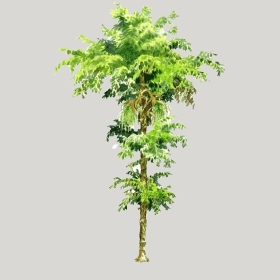 ͼʦģֲģȫ20222515