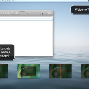 Window Tidy 2.0.2 – 轻松管理窗口 绿化 免费下载
