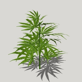 ͼʦģֲģȫ20221276