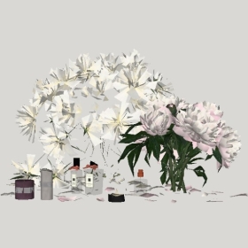 ����Ʒ_��ͼ��ʦģ��220204264