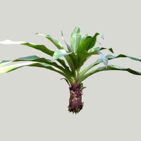 ͼʦģֲģȫ20221839