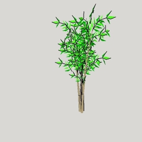 ͼʦģֲģȫ20222677