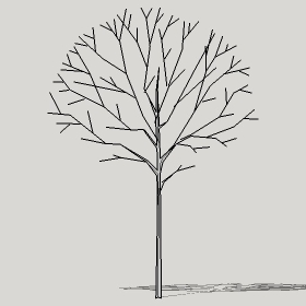 ͼʦģֲTTrees2Dֱģ075