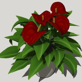 ͼʦSketchupƷģ20221125ϴ080