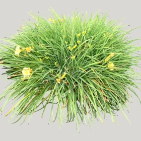 ͼʦģֲģȫ20221030