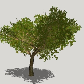 ͼʦģֲģȫ20221294