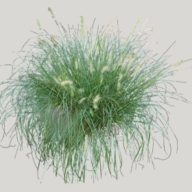 ͼʦģֲģȫ20221107