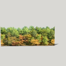 ͼʦģֲģȫ20221196